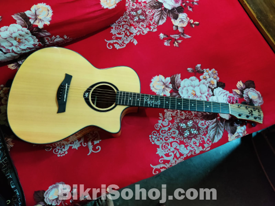 Acoustic Guitar